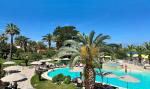 Palmen am Pool
