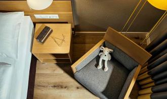 Landskron Family Room Classic Gaube